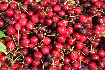 Cerises