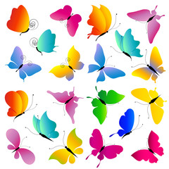 butterflies design
