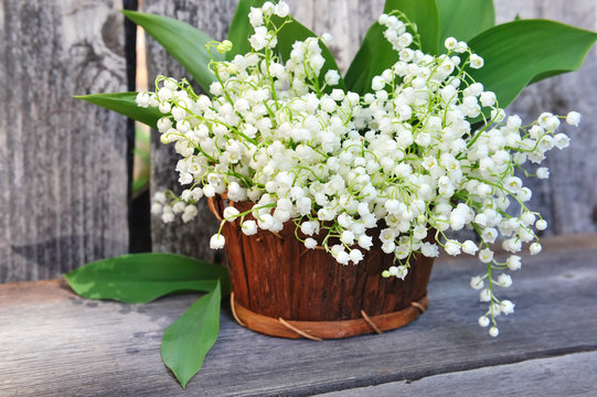 Basket with lilies of the valley (Convallaria majalis)