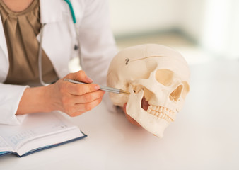 Closeup on medical doctor woman pointing on human skull