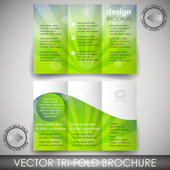 Tri-fold corporate business store brochure