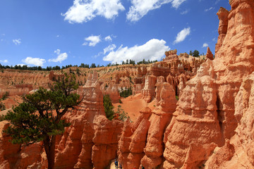 queen's garden trail, Bryce canyon