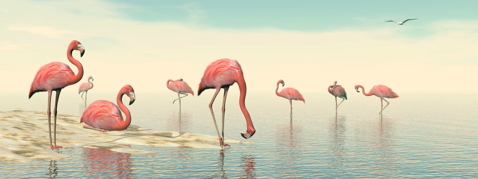 Fototapeta Flock of pink flamingos - 3D render