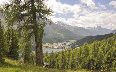 Fototapeta na wymiar St. Moritz, See, Corviglia, Alpen, Sommer, Graubünden, Schweiz