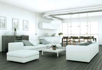 Fototapeta na wymiar modern Apartment Interior Design
