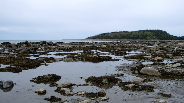 &Icirc;le
