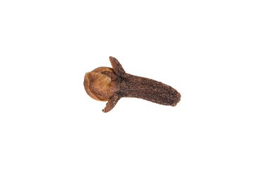 Dried clove isolated on white