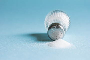 Salt Shaker