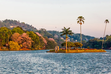 Small island with palm trees in the middle of Kandy lake