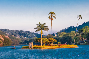 Small island with palm trees in the middle of Kandy lake