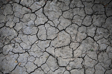cracked earth textured background