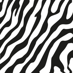 zebra stripes texture