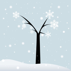 Winter Tree