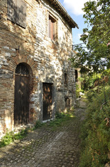 Fototapeta premium Pievefavera