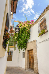 Streets in a white village of Andalucia, southern Spain