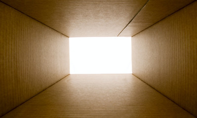 Opened blank paper box
