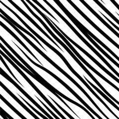 Vector background of zebra texture.