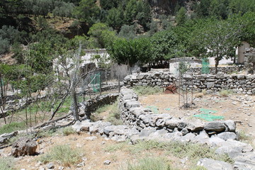 samaria gorge