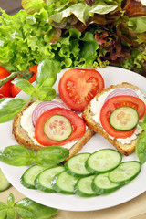 Sandwich with cottage cheese, tomato, onion and cabbage on white