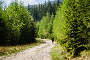 Fototapeta premium Giant Mountains in Poland