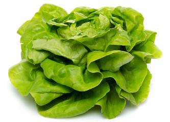 Fresh lettuce salad