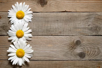 Zelfklevend Fotobehang Daisy bloemen op houten achtergrond © Anatoliy Sadovskiy