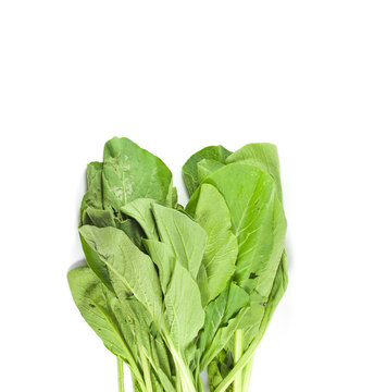 Choi Sum