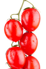 cherry tomatoes close-up