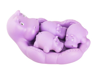 hippo toy