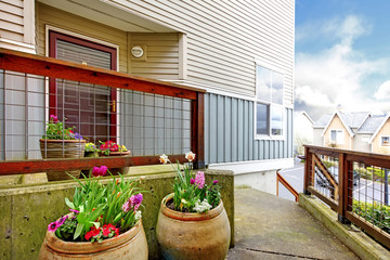 Fototapeta na wymiar Entrance porch with flower pots