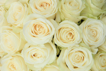 Panele Szklane Podświetlane  White roses in a wedding arrangement
