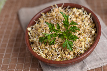 germogli di lenticchie