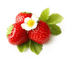 Red berry strawberry