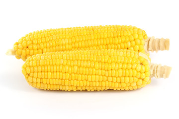 Fresh cook corn
