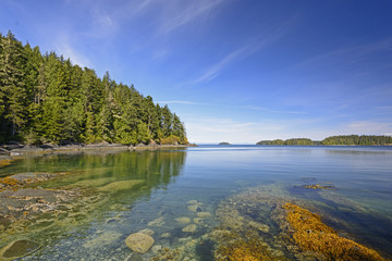 Coastal Bay on a Summer Day