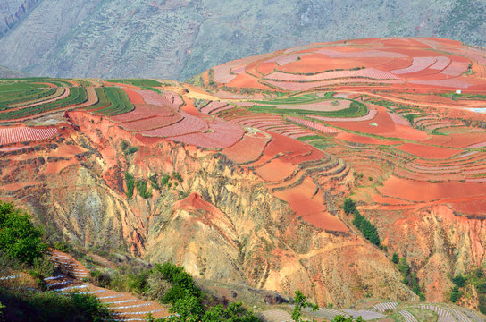 Fototapeta Dongchuan Red Land in Yunnan Province, China