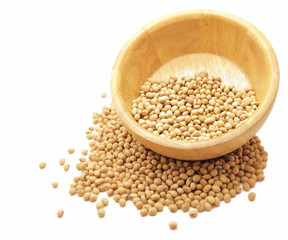 soy beans