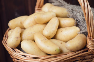 Wicker basket with freshly harvested potato, horizontal shot