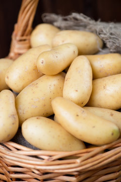 Newly harvested potato in a wicker basket, vertical shot