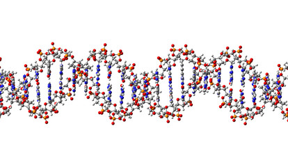 DNA molecule. 3D Illustration