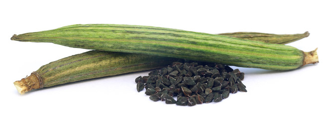 Jute seeds