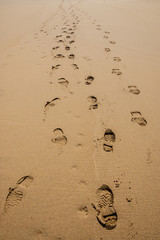 Footprints of hiking boots on the sand of a beach. - 65747073