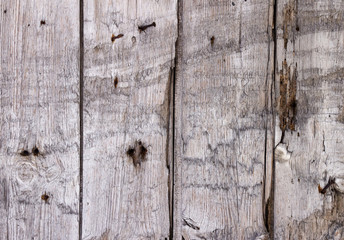 Obraz premium The old paint wood texture with natural patterns
