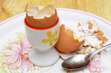 empty egg shell and spoon