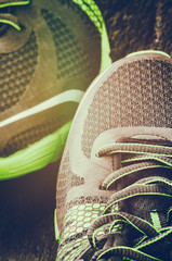 Running shoes closeup