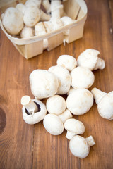 mushroom