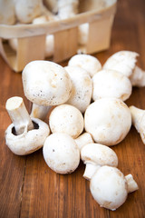 mushroom
