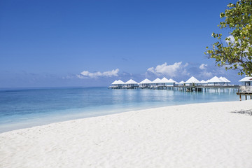 beach in the Maldives