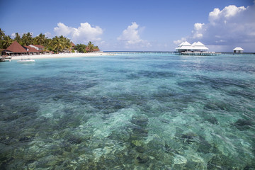 beach in the Maldives