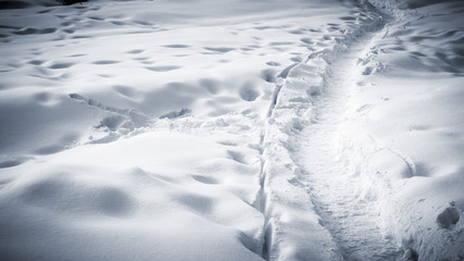 Obraz premium Many tracks and footprints in the snow